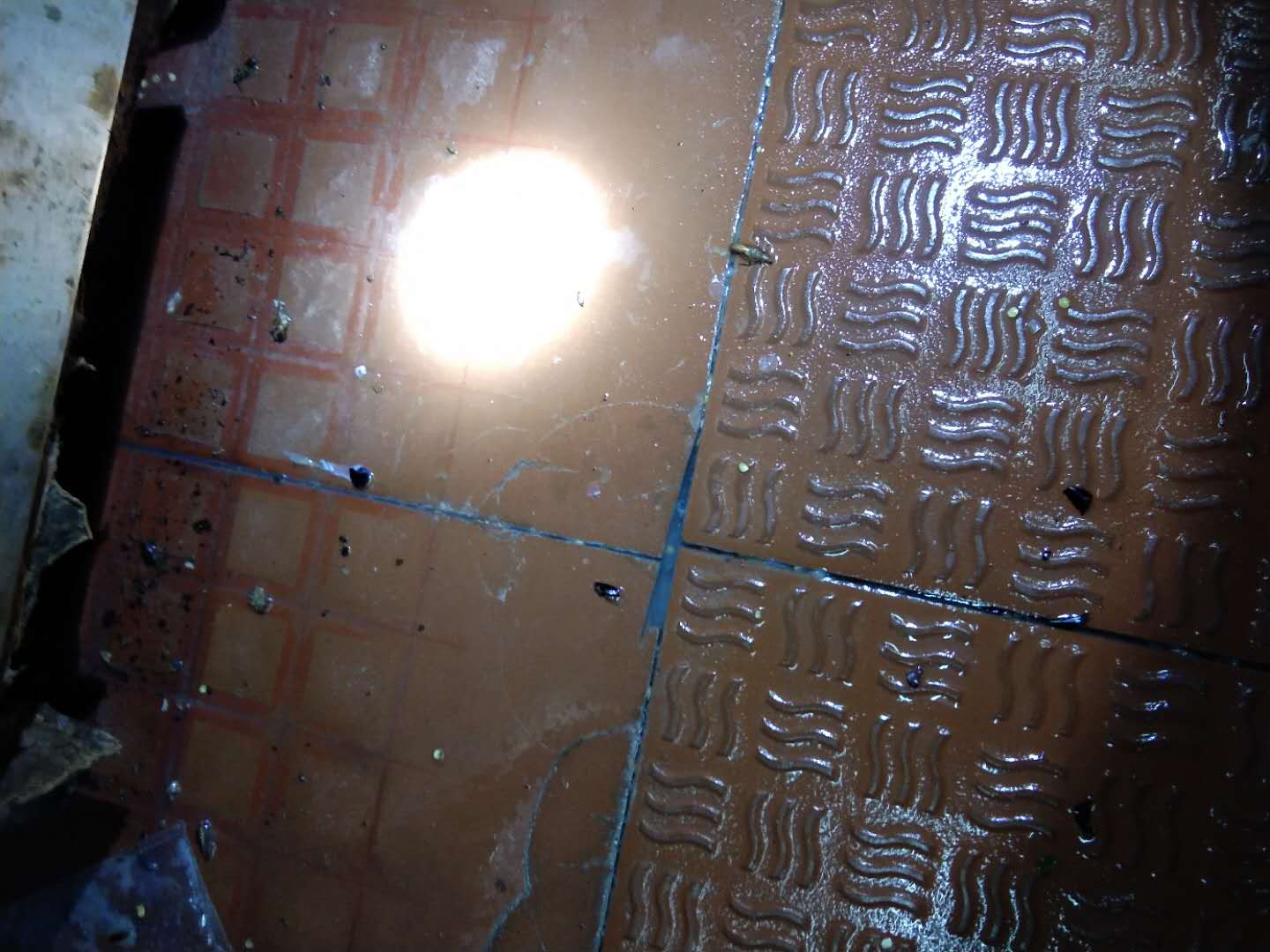 防治蟑螂最好的办法是什么？