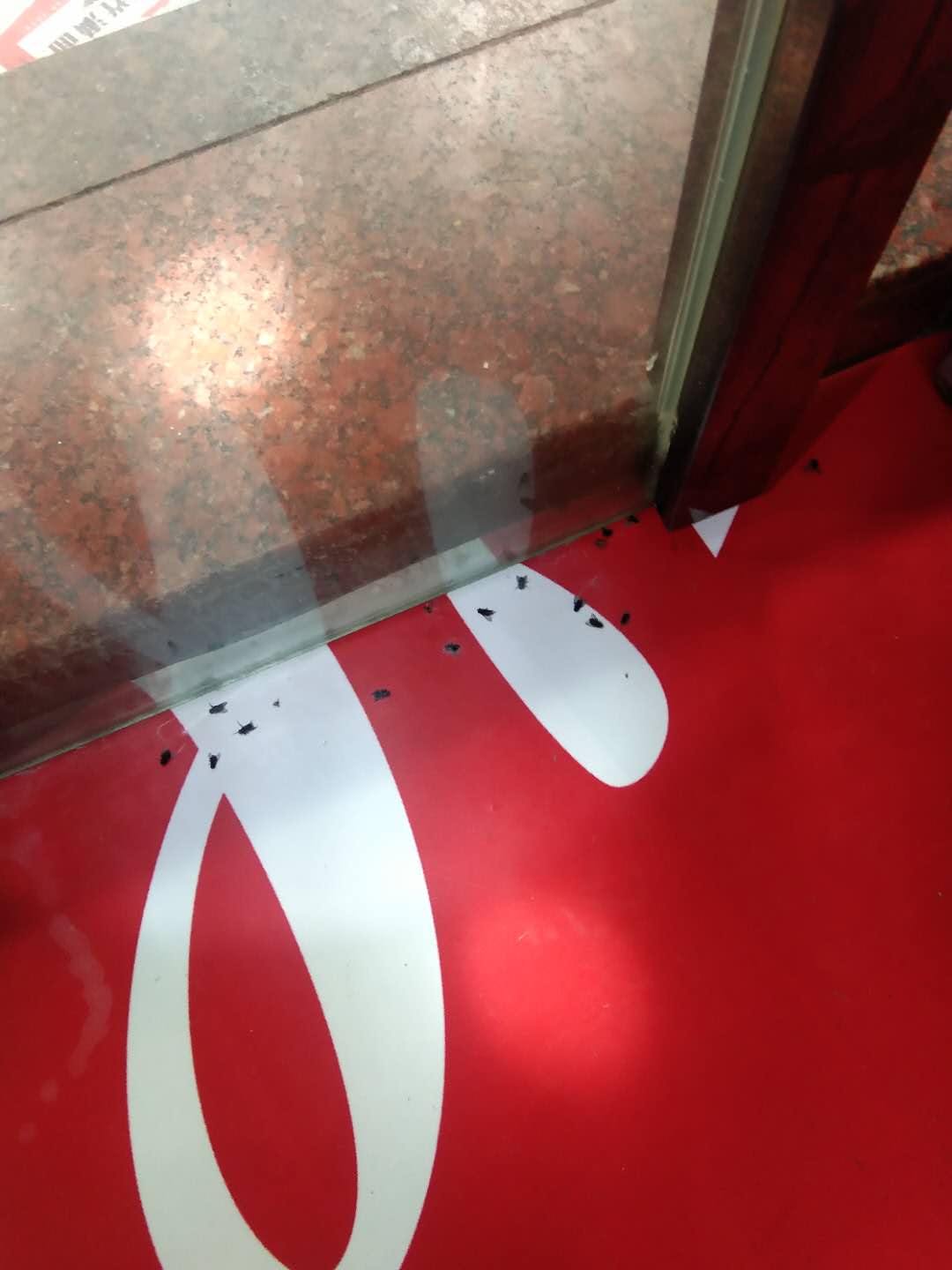 厨房蟑螂怎么彻底消灭？