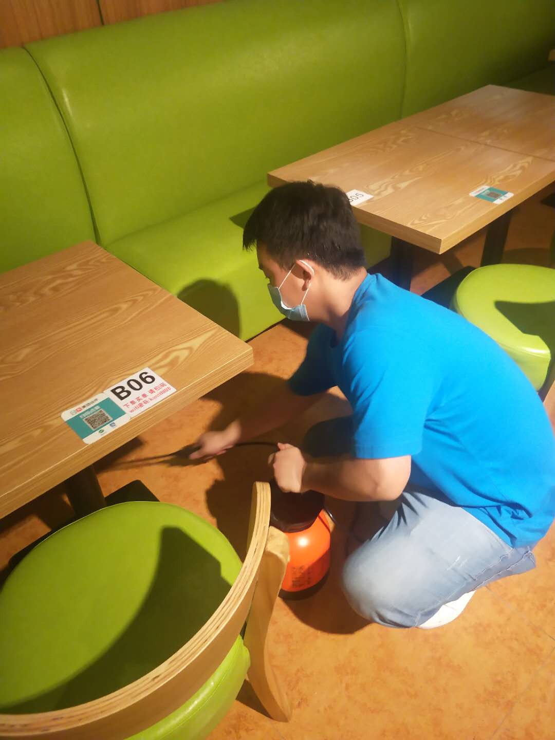 蟑螂怎么消灭最彻底?
