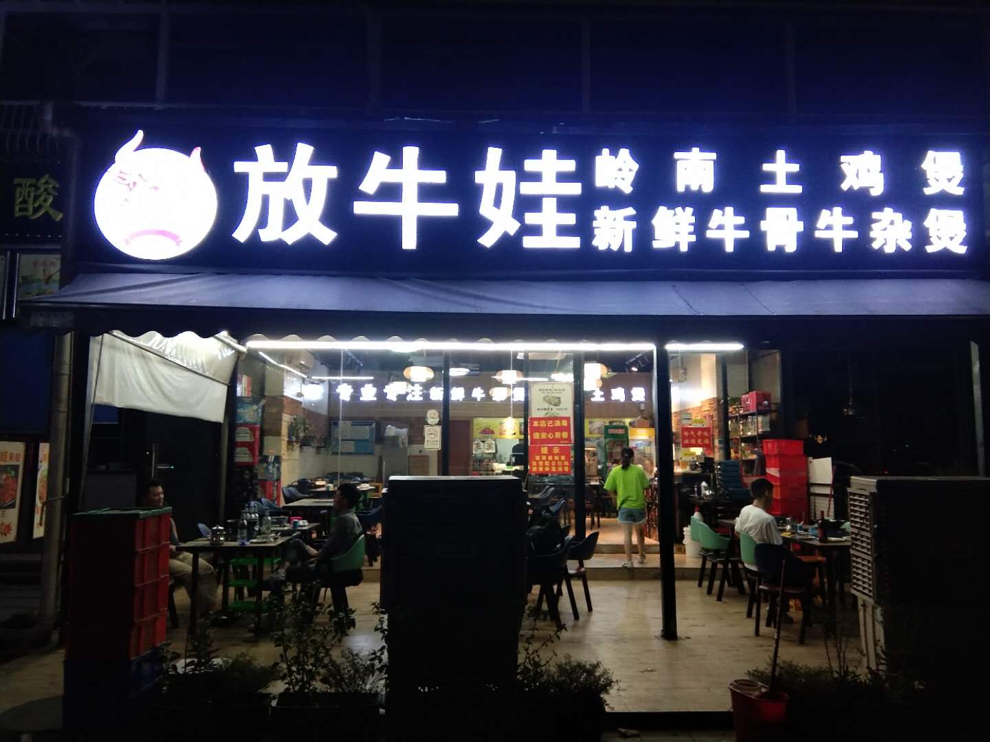 白蚁是怎么来的?