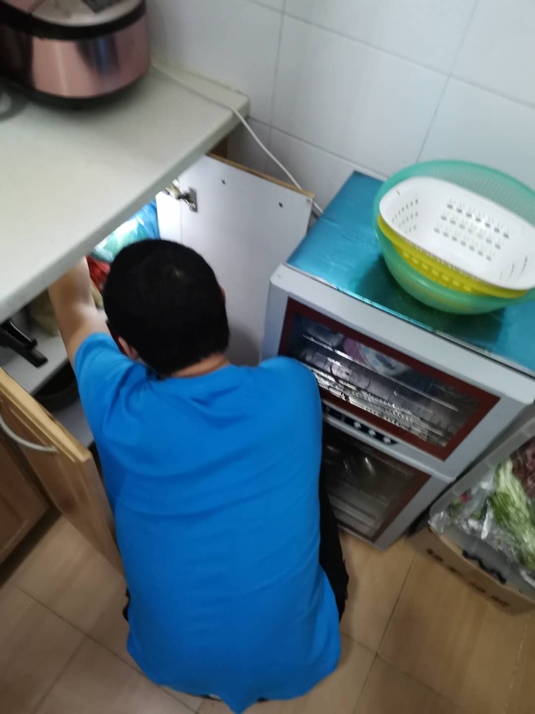 家里有白蚁意味着什么?