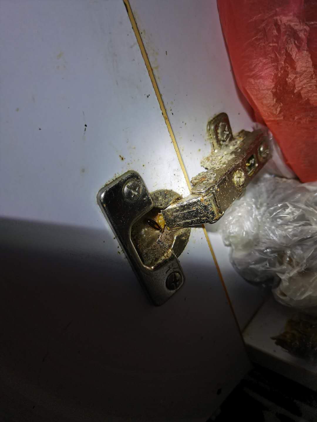 如何防止蚊蝇滋生?