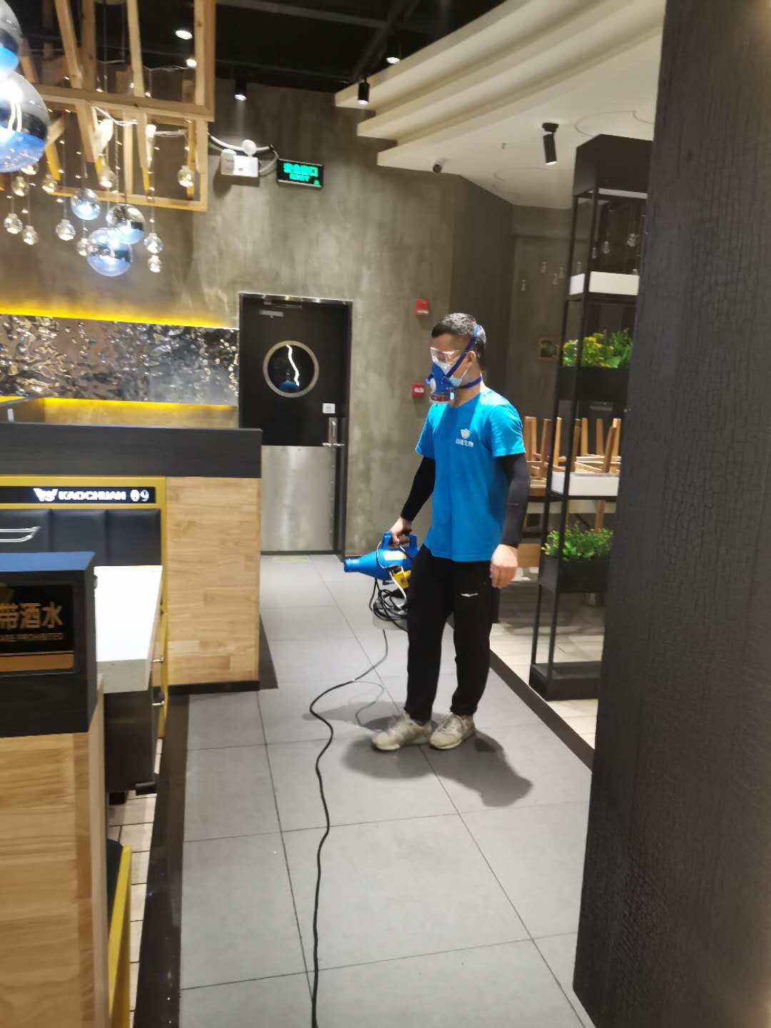 蟑螂防治及灭杀