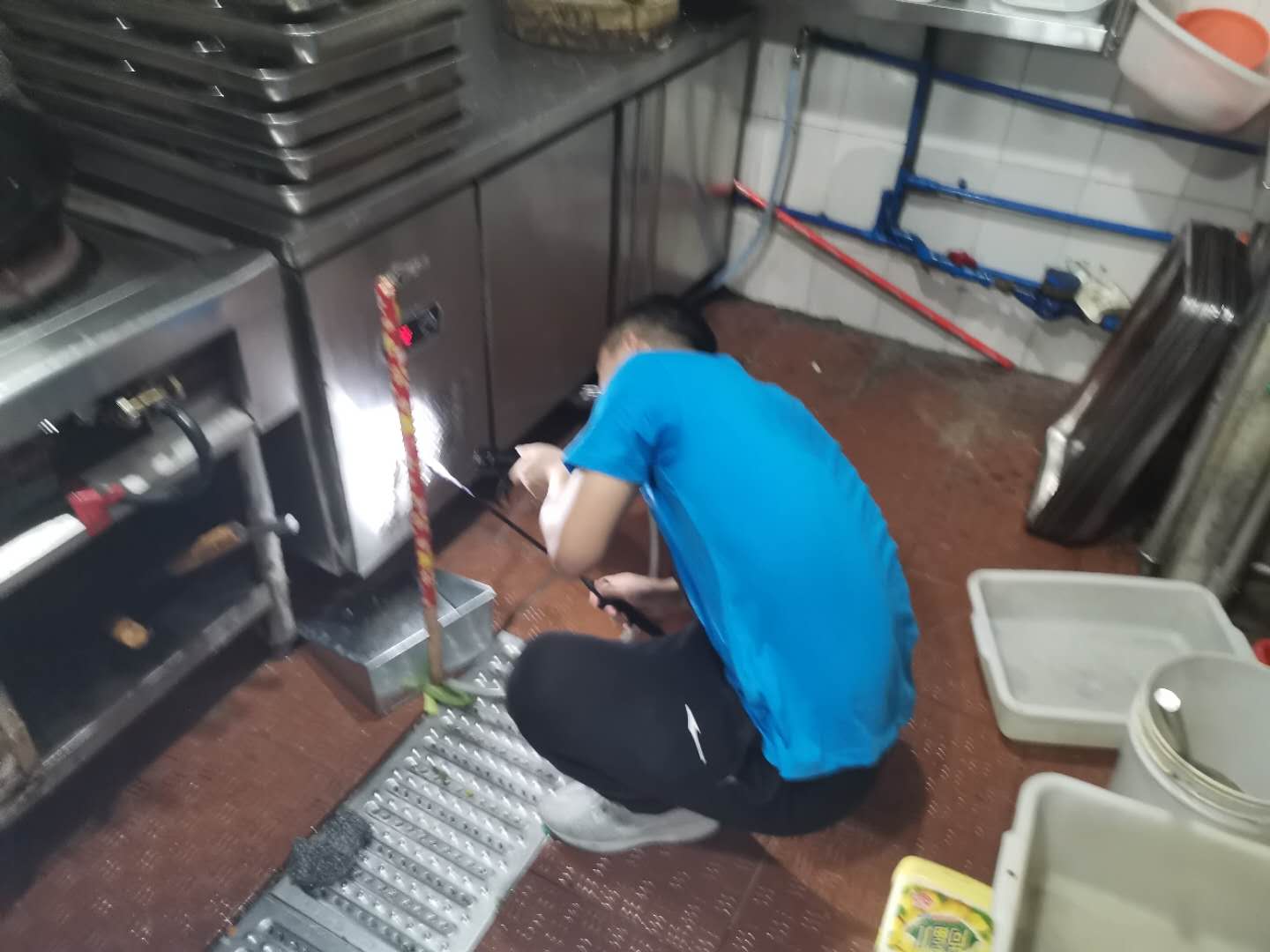 有什么好办法能彻底杀死蟑螂?