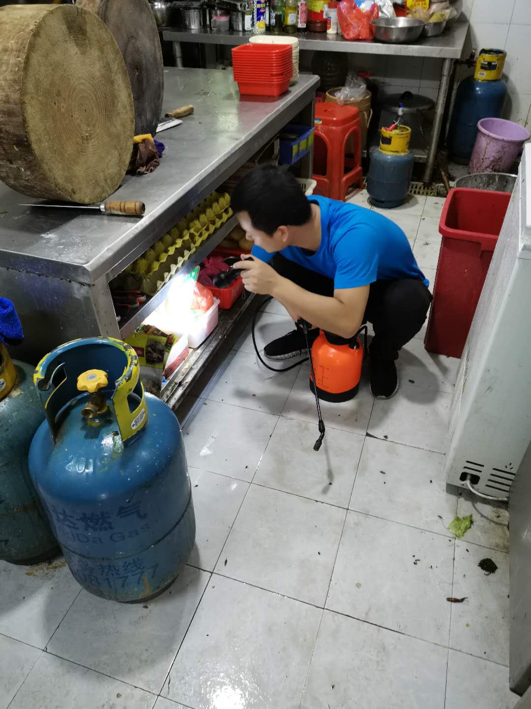 蟑螂卵怎么可以杀死?