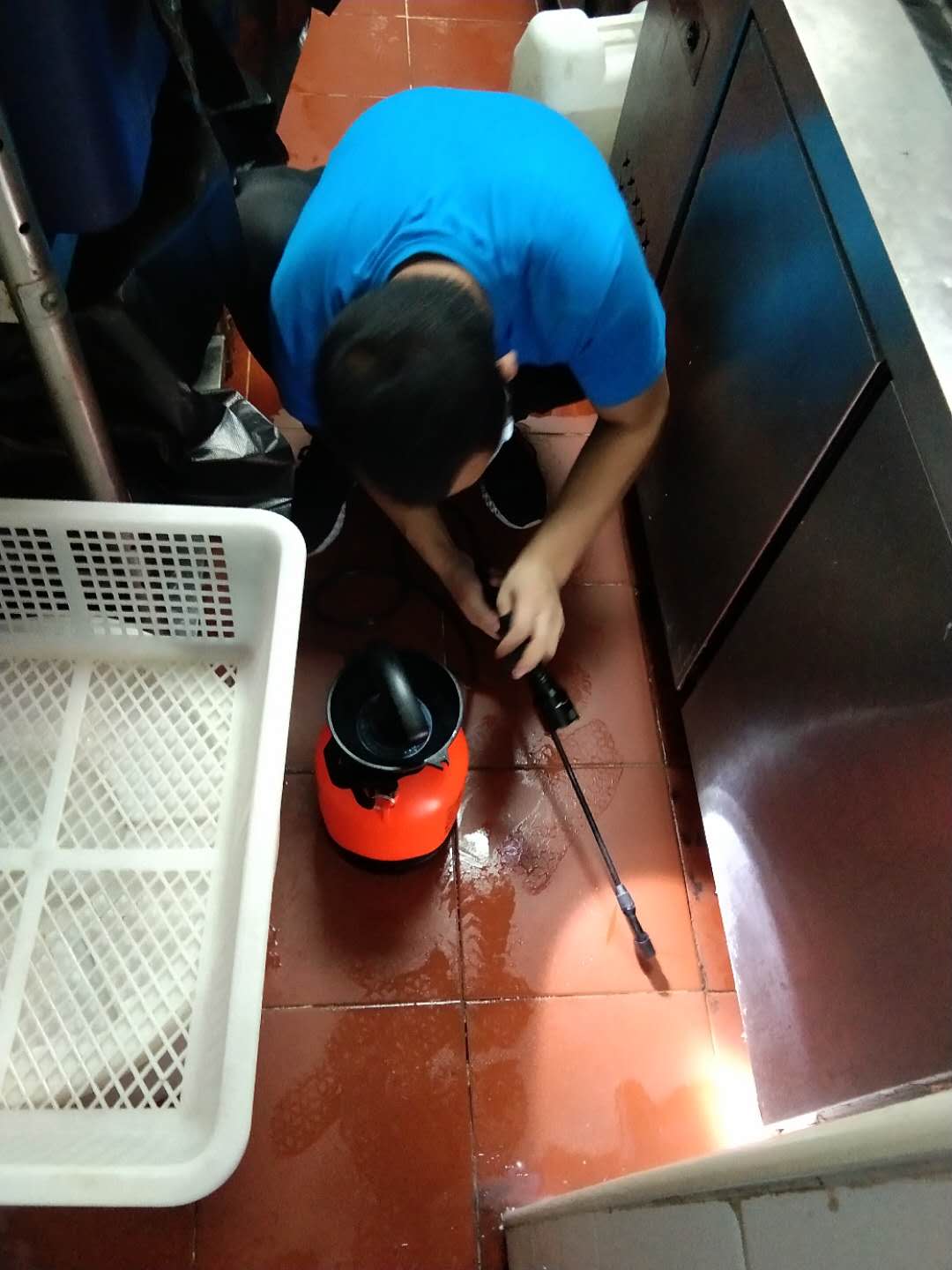 广东大蟑螂怎么消灭?