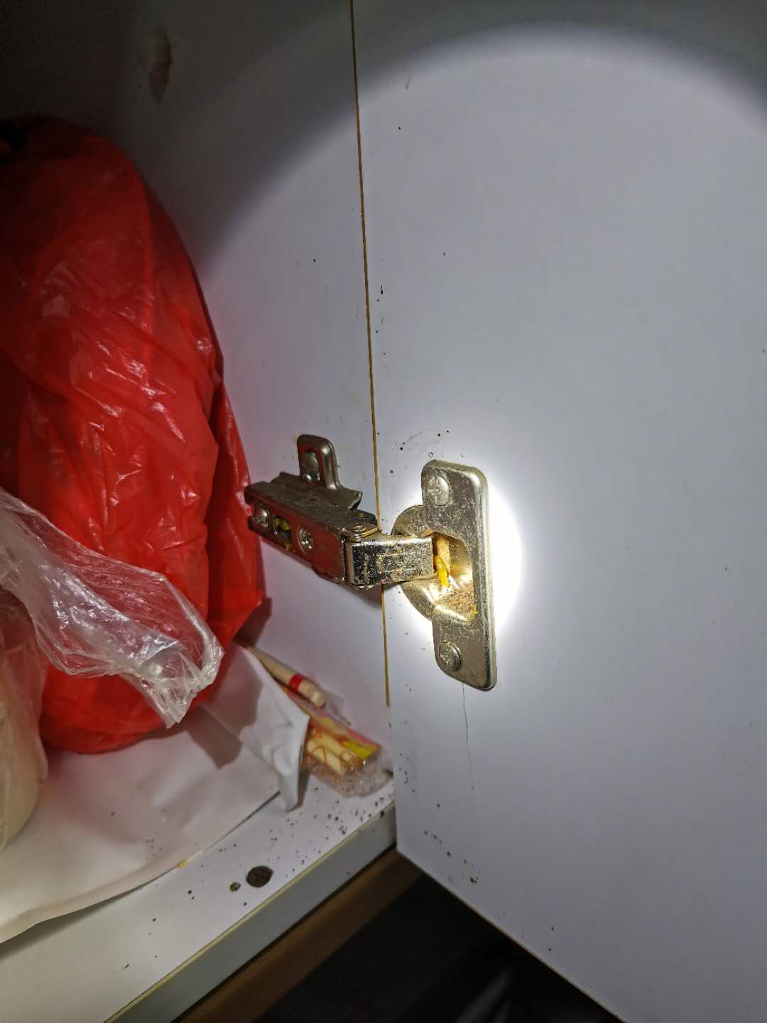 蟑螂在蜂箱里的危害