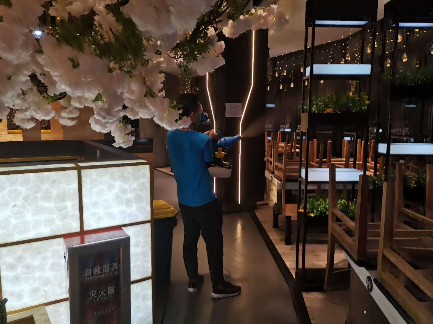 灭鼠药的成分