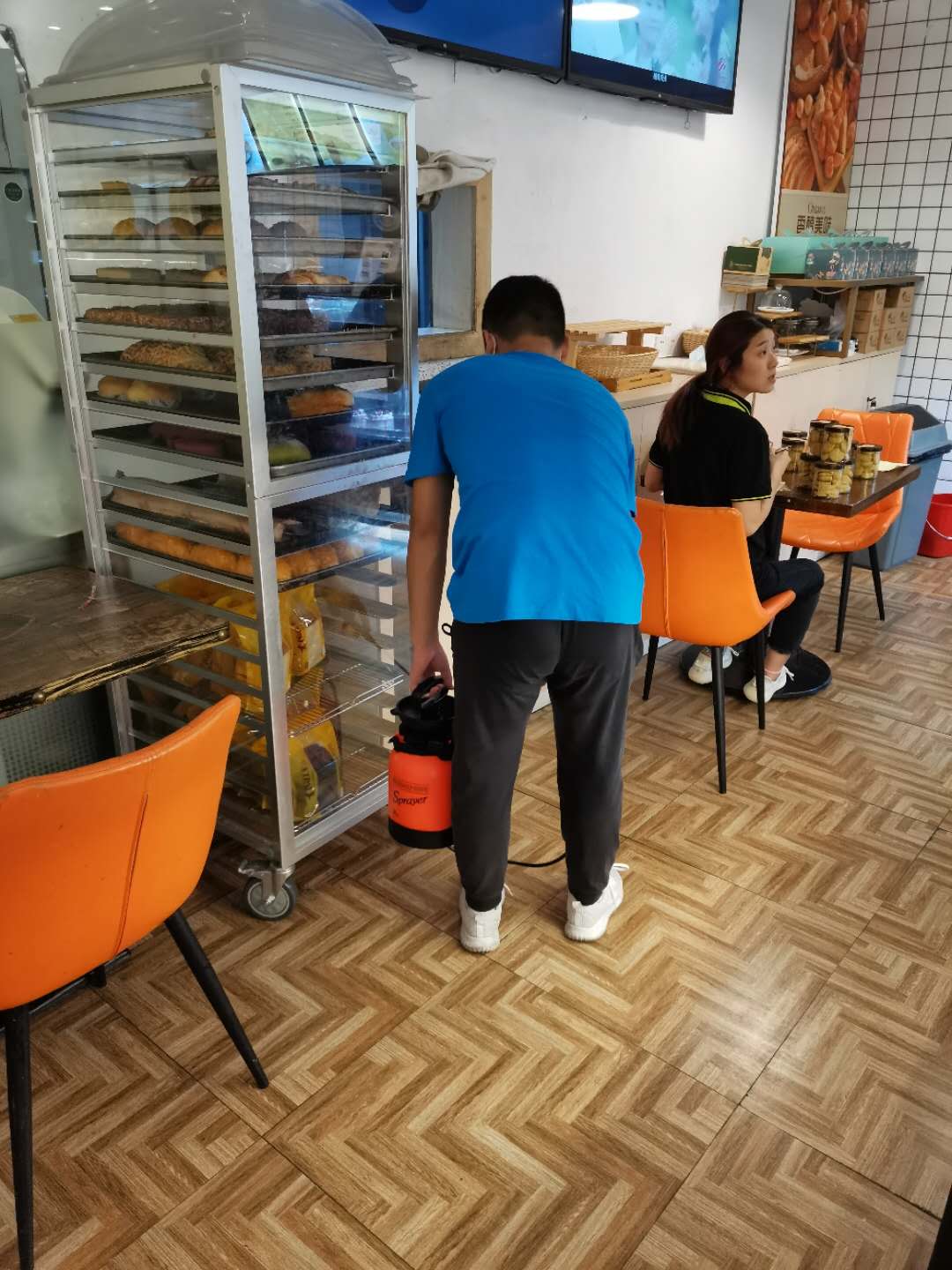 怎么杀死广州的蟑螂?