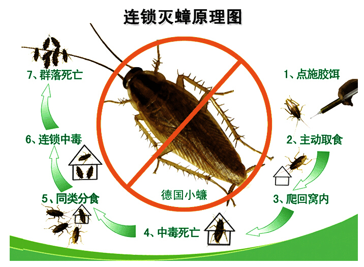 灭四害服务大概多久一次?