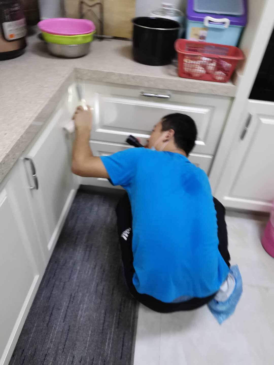 苍蝇飞行的特点