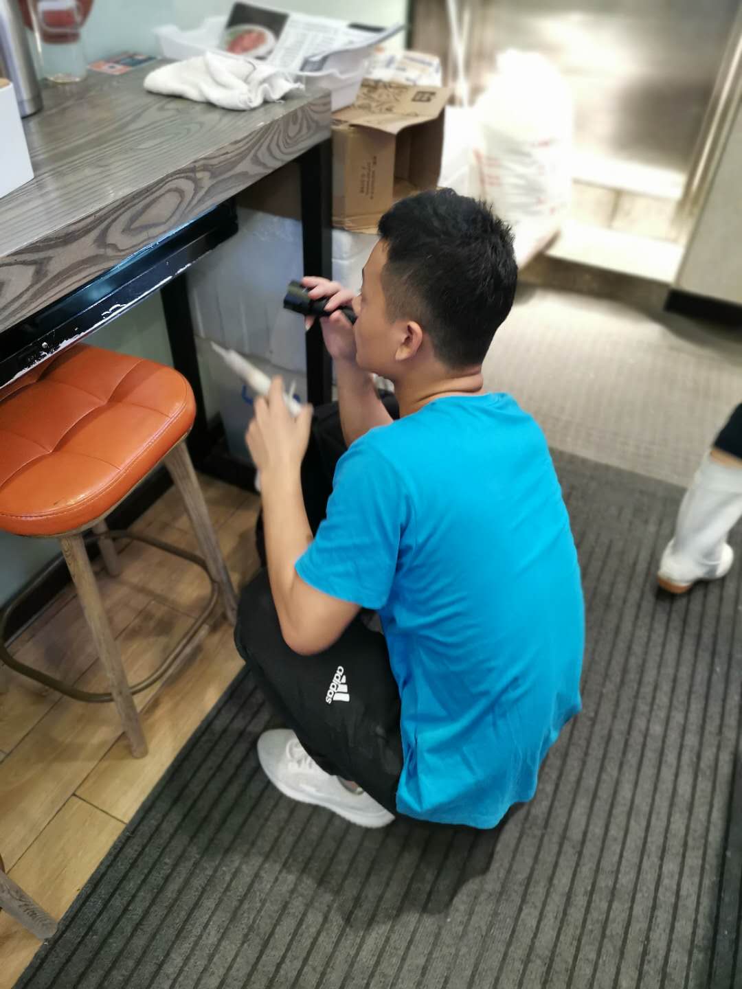 办公楼蟑螂怎么灭除?