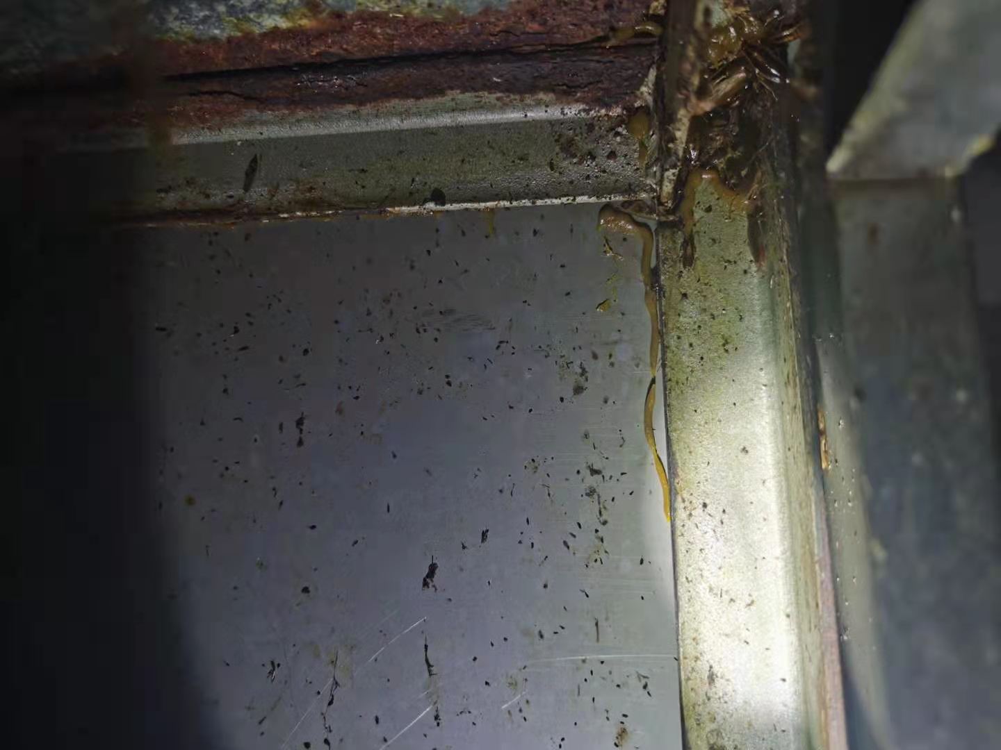 科学灭蚊的方法有哪些？