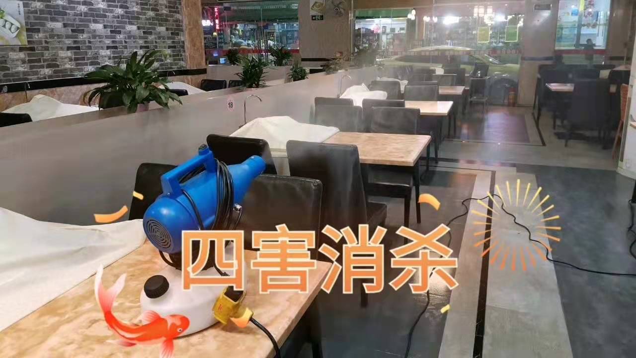 灭蚊蝇防治在什么时候？