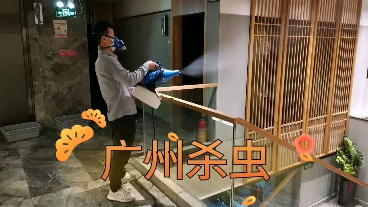 灭蚊蝇灯是紫外线灯吗？