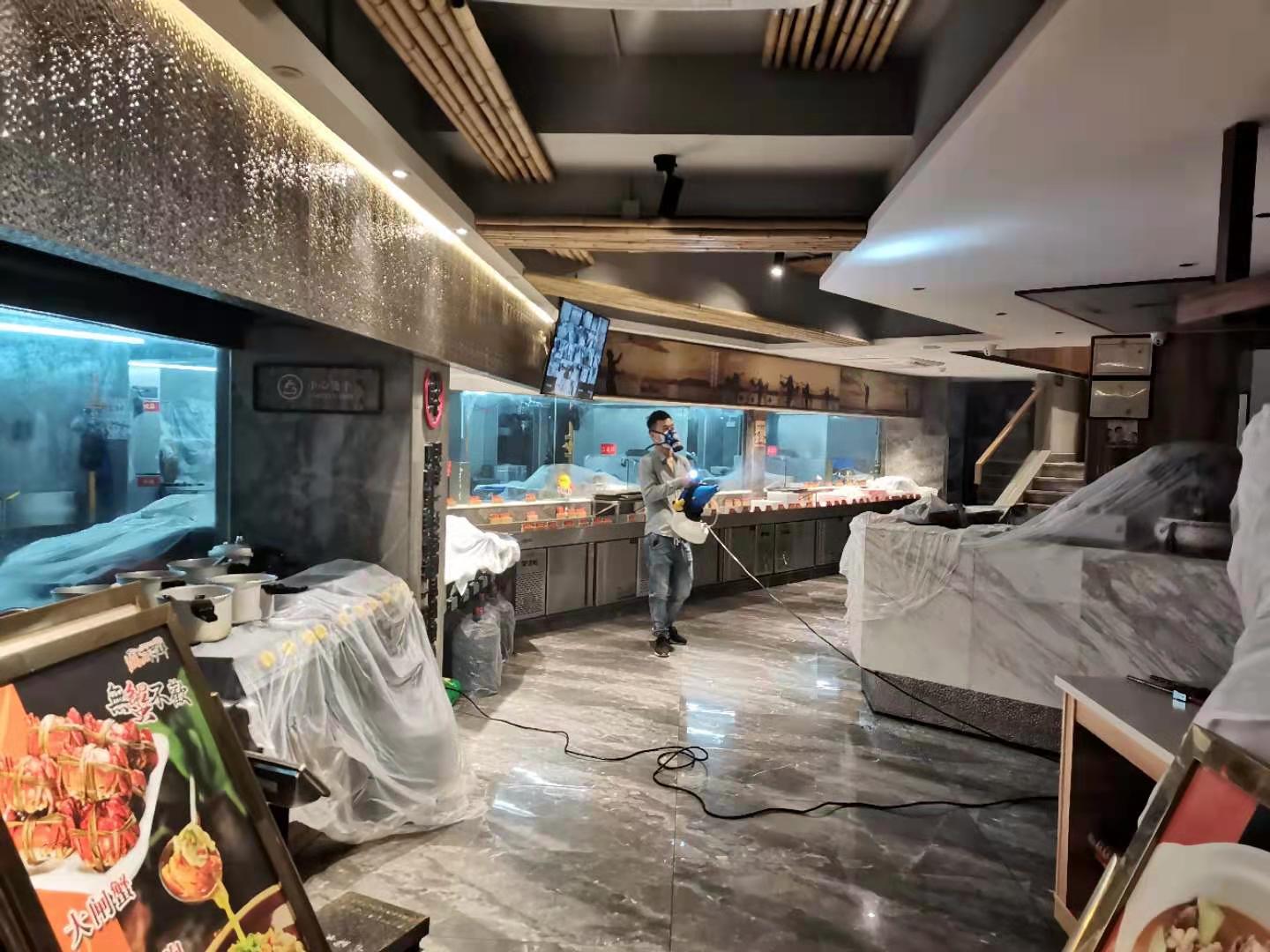 什么方法可以根治白蚁？