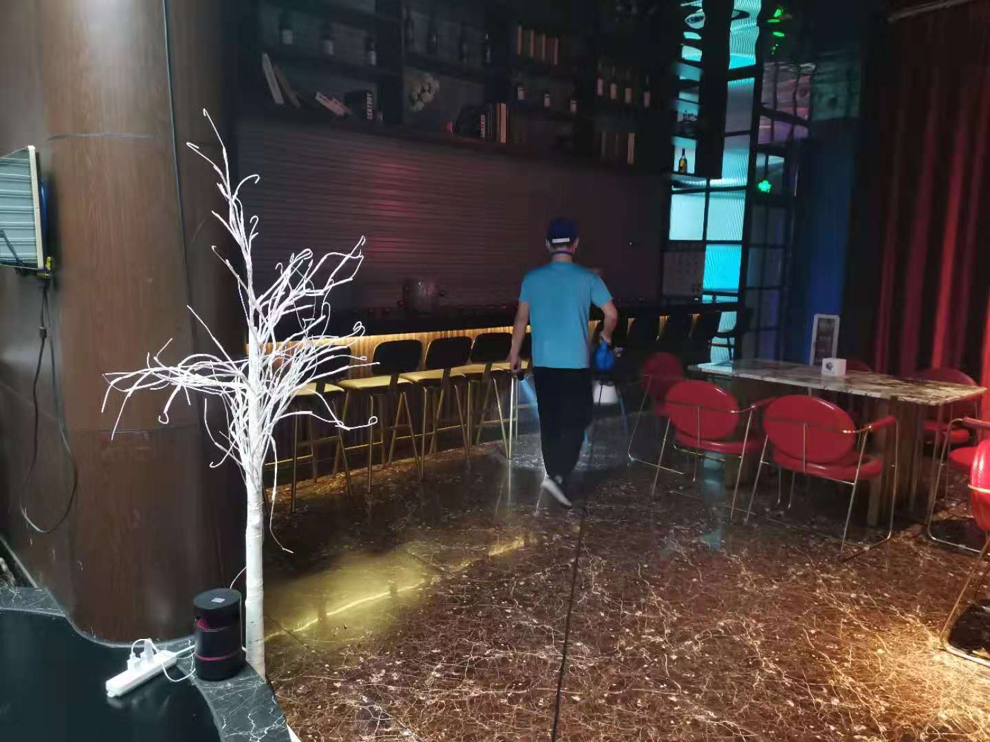 广州杀虫灭鼠公司：老鼠的生活习性