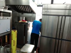 蟑螂的繁殖速度如何？